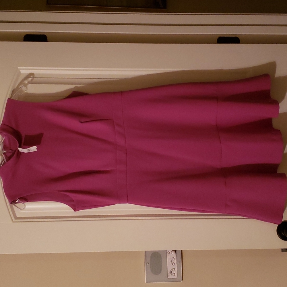 NWT Ann Taylor Pink Dress Sz 10